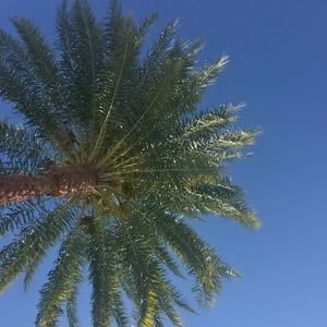 Meet your Posher, Linsey